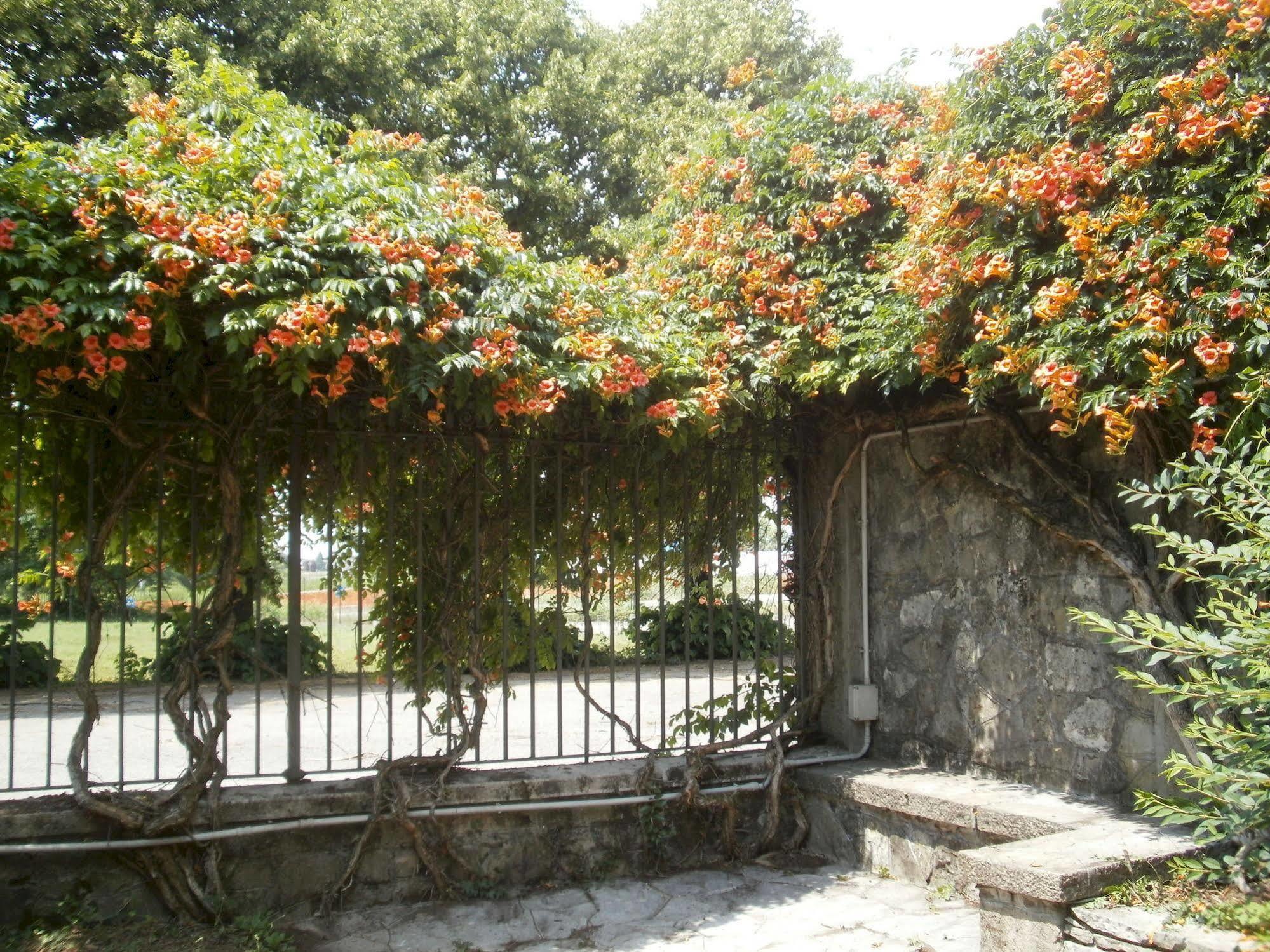 Albergo Villa & Roma Pallazzolo sull'Oglio Bagian luar foto